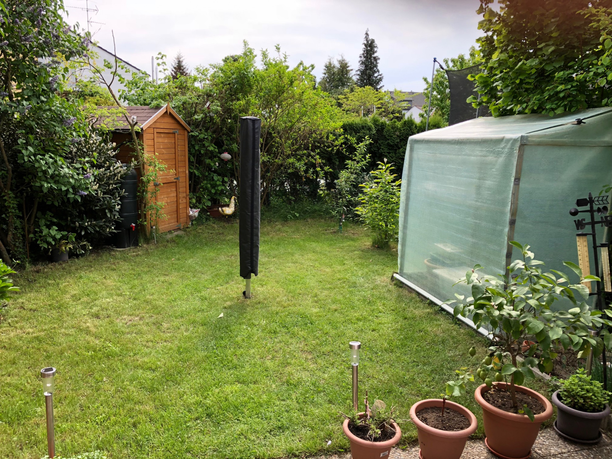 Thumbnail für Den Beitrag: Unser kleiner Garten